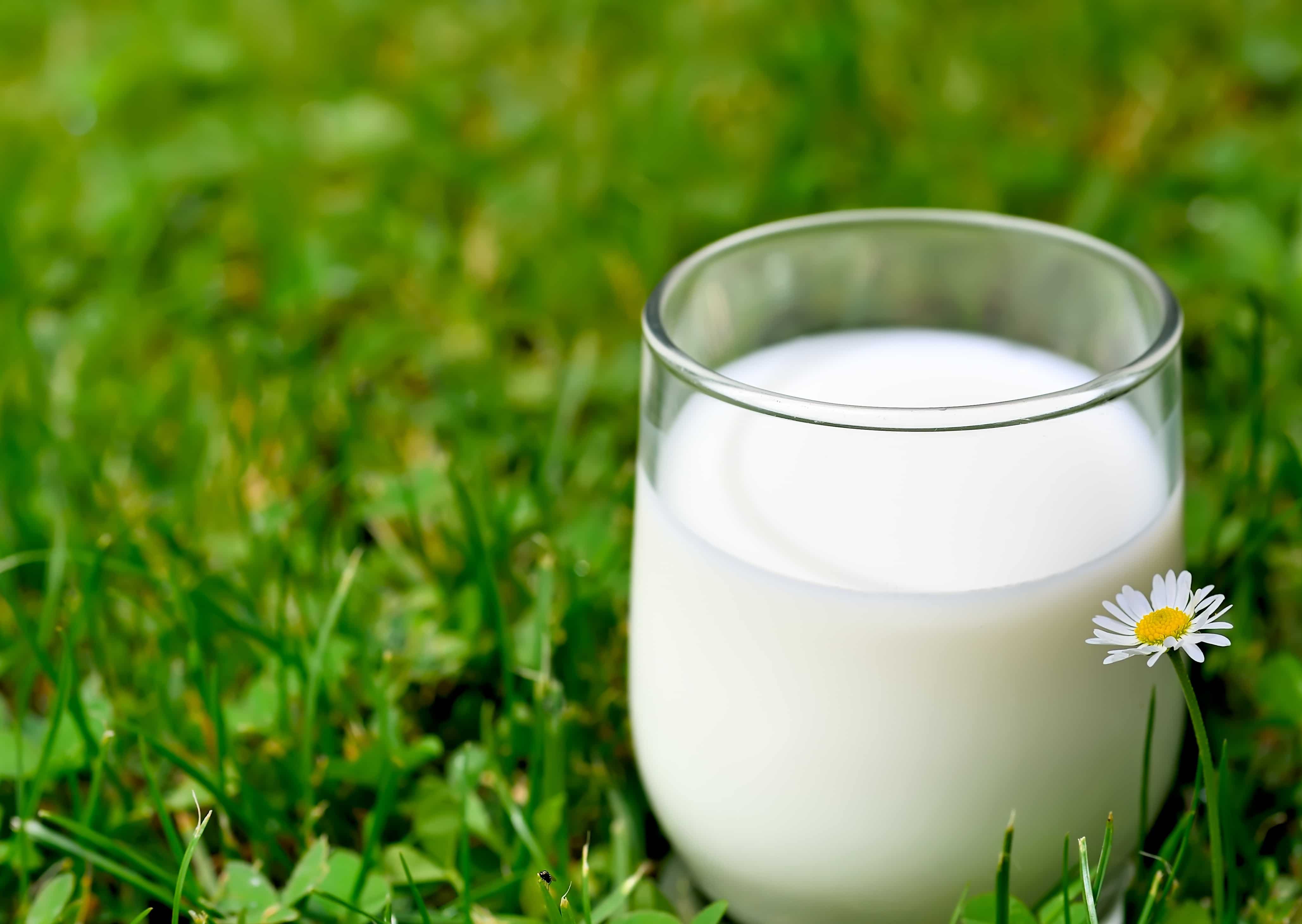 Молоко с фермы оптом | с фермы «Юрьевское»